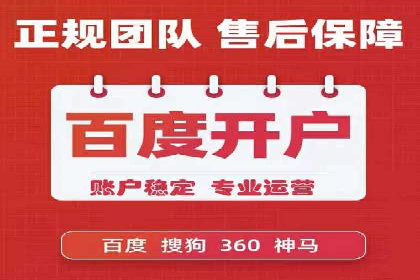成功运用SEM服务实现品牌推广的案例分析